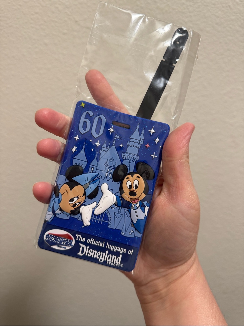 Disneyland luggage tag